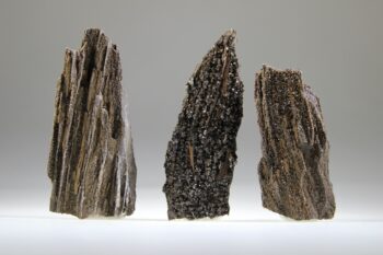 Versteend hout van de Mammoetboom of Reuzen Sequoia met kwartskristalletjes
