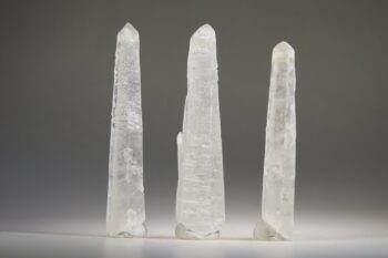 Lemurische lasers met zacht witte coating uit Mongolië