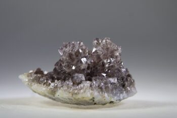 Zielkwarts uit Jamner, Maharashtra, India - Afbeelding 5