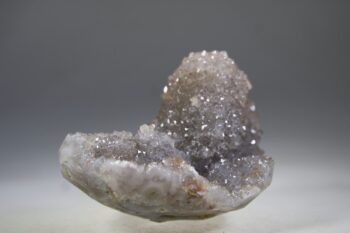 Zielkwarts uit Jamner, Maharashtra, India - Afbeelding 4