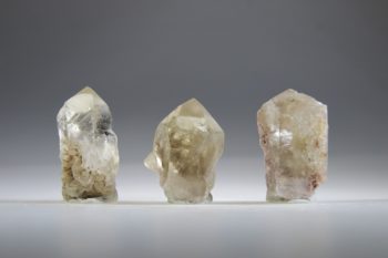 Zonnekind Citrien (Sunchild) - Afbeelding 4