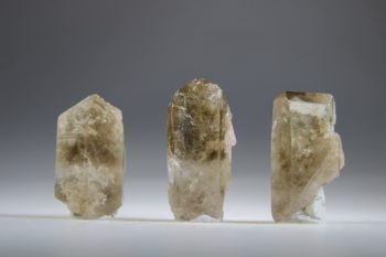 Zonnekind Citrien (Sunchild) - Afbeelding 3