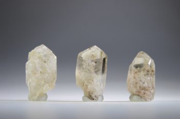 Zonnekind Citrien (Sunchild) - Afbeelding 6